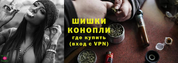 МДПВ Михайлов