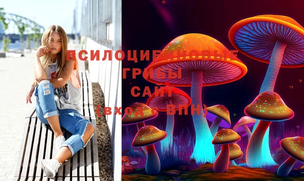 гидра Вуктыл