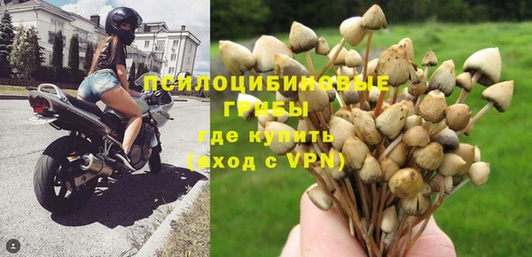 ALPHA-PVP Надым