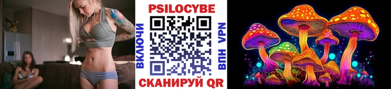 Галлюциногенные грибы прущие грибы  Переславль-Залесский 