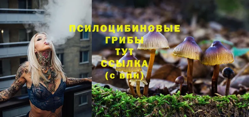 Галлюциногенные грибы MAGIC MUSHROOMS  наркота  Переславль-Залесский 