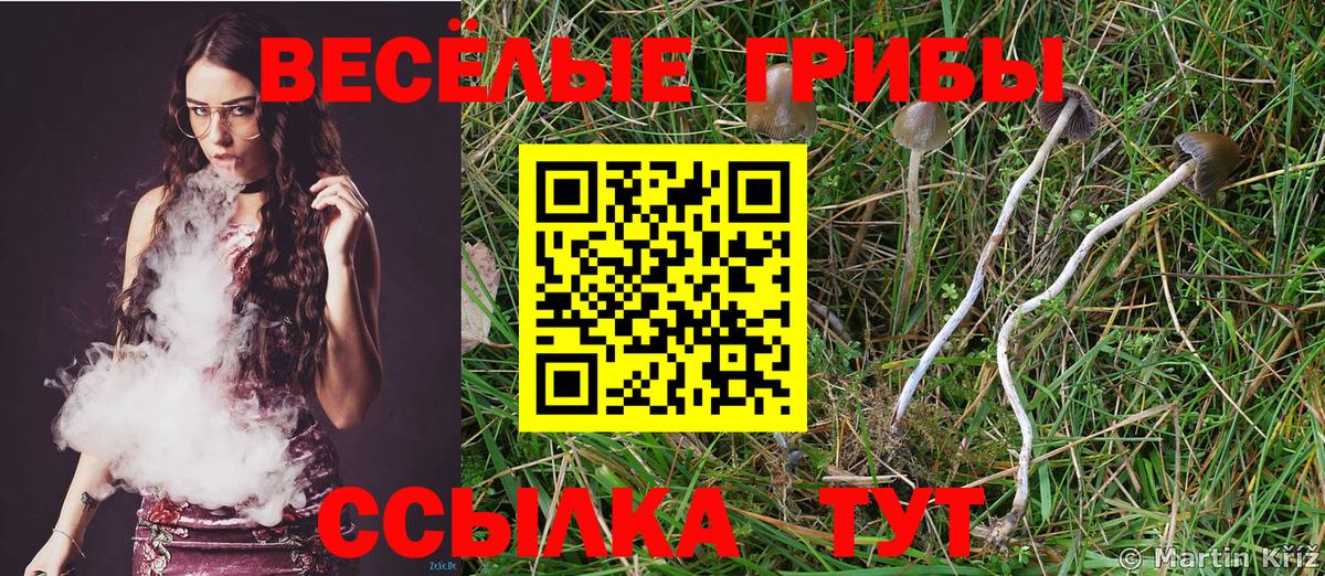 Псилоцибиновые грибы MAGIC MUSHROOMS  как найти закладки  Переславль-Залесский 