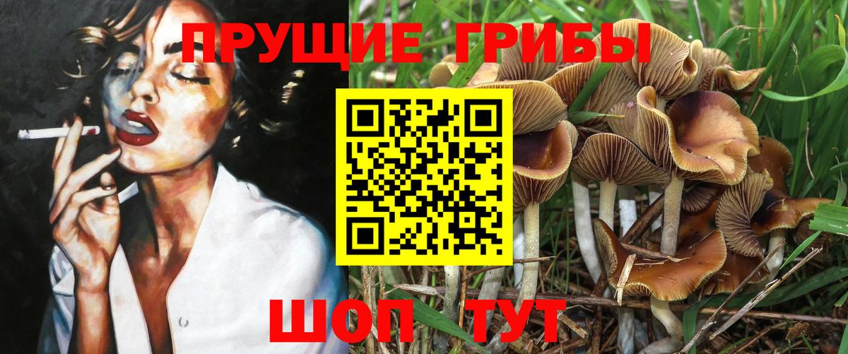 Переславль-Залесский  Галлюциногенные грибы GOLDEN TEACHER  Галлюциногенные грибы ЛСД  Вход с VPN 