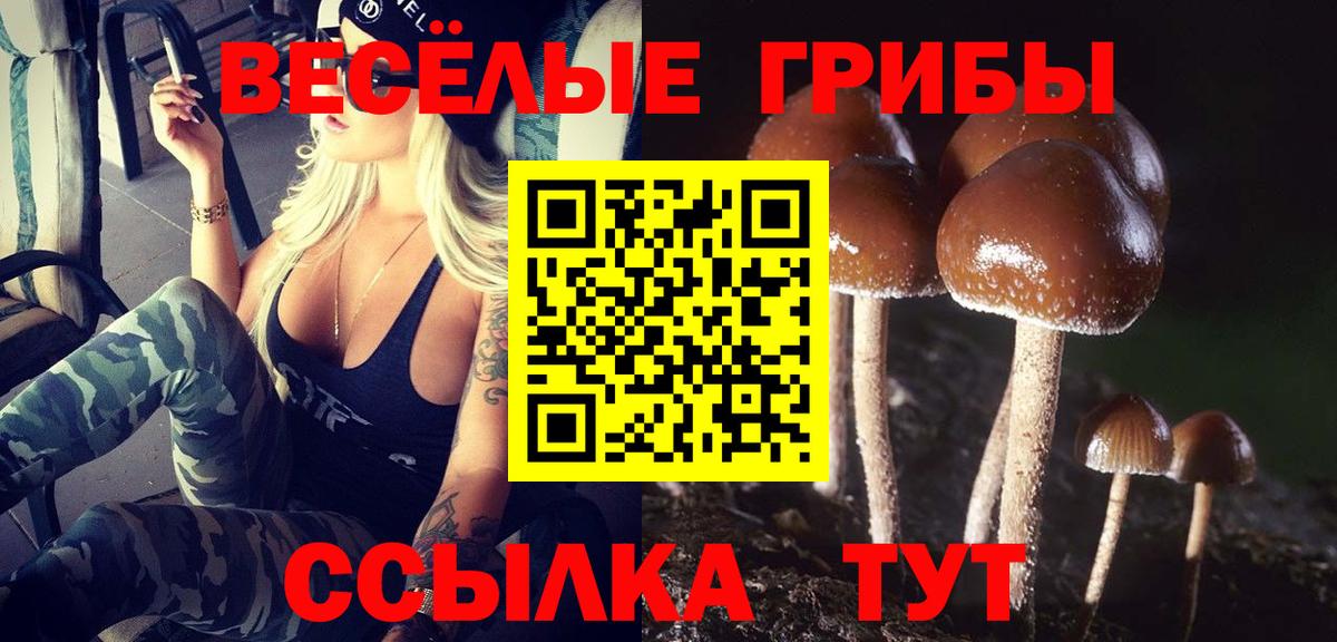 Галлюциногенные грибы Psilocybine cubensis Переславль-Залесский
